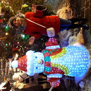 ���������� ������, ���� ������� ����, 33 ����, ������������ ��� ������, ����� � ���������, c�������� ���������