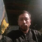 ���������� �����������, ���� ������� ��������, 38 ���, ������������ ��� ������, ����� � ���������