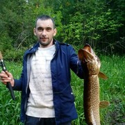 ���������� ����, ���� ������� ������, 36 ���, ������������ ��� ������, ����� � ���������, c�������� ���������