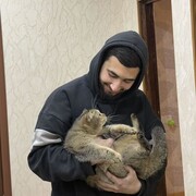 ���������� ����, ���� ����� Sexavet, 25 ���, ������������ ��� ������, ����� � ���������