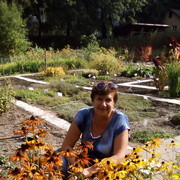  ,   , 62 ,   ,   , c 