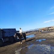 ���������� ��������, ���� ������� ����, 33 ����, ������������ ��� ������, ����� � ���������, c�������� ���������, ���������