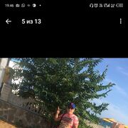  ,  , 37