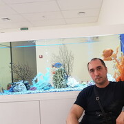 ���������� ����, ���� ������� Delon, 43 ����, ������������ ��� ������, ����� � ���������