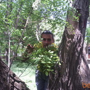 ,   , 40 ,     , c 