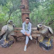 ���������� ������, ���� ����� ���, 25 ���, ������������ ��� ������, ����� � ���������