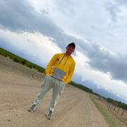 ���������� �����������, ���� ������� ������, 38 ���, ������������ ��� ������, ����� � ���������