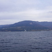  -,   , 49 ,   ,   , c 