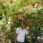  ,   Sherzod, 35 ,   