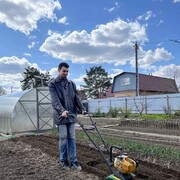 ���������� ������, ���� ������� �����, 29 ���, ������������ ��� ������, ����� � ���������