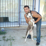  ,   CEBO, 35 ,   ,   