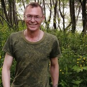  -,   , 51 ,     