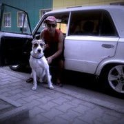 ���������� ���������, ���� ������� ������, 34 ����, ������������ ��� ������, ����� � ���������, c�������� ���������