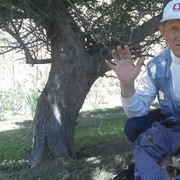  ,    , 56 ,   ,   , c 