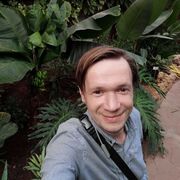 ���������� �����-���������, ���� ������� ���������, 36 ���, ������������ ��� ����� � ���������, c�������� ���������