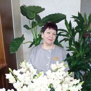  ,   , 65 ,     