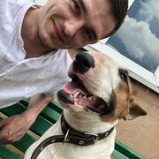 ���������� ������, ���� ������� �����, 28 ���, ������������ 