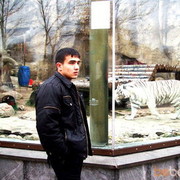 ,   MAKSUD, 34 ,     , c 