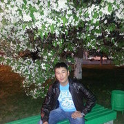 ���������� �����, ���� ������� ������, 43 ����, ������������ ��� ����� � ���������, c�������� ���������