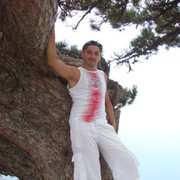  ,   Psyform, 42 ,   