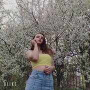  ,   , 23 ,   