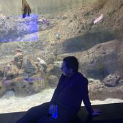 ���������� �������, ���� ������� Qobiljon, 37 ���, ������������ ��� ������, ����� � ���������, c�������� ���������, ���������