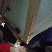 ���������� �����������, ���� ������� ������, 41 ���, ������������ ��� ������, ����� � ���������