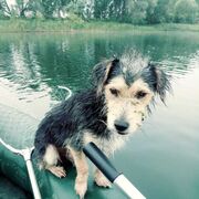 ���������� �������, ������� ��������, 57