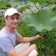 ���������� ������� ������, ���� ������� ���������, 44 ����, ������������ ��� ������, ����� � ���������, c�������� ���������