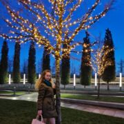 ���������� ���������, ���� ������� ��������, 31 ���, ������������ ��� ������, ����� � ���������, c�������� ���������, ���������