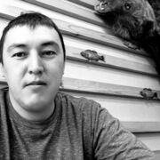 ���������� �������, ���� ������� �����, 38 ���, ������������ ��� ������, ����� � ���������