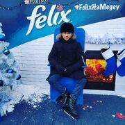 ���������� ���������, ������ �������, 25