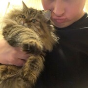  ,    , 25 ,   ,   , 