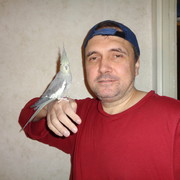  ,   , 52 ,   ,   , c 