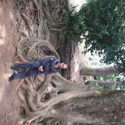  ,   Rob, 53 ,   ,   