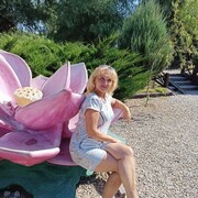 ���������� �����, ���� ������� ������, 44 ����, ������������ ��� ������, ����� � ���������