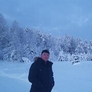 ���������� �����-���������, ���� ������� Tiger, 39 ���, ������������ ��� ������, ����� � ���������, ���������