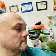 ���������� �������, ���� ������� ����, 41 ���, ������������ ��� ������, ����� � ���������, ���������