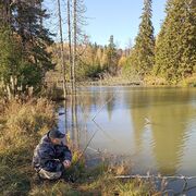 ���������� �����, ���� ������� ������, 39 ���, ������������ ��� ����� � ���������