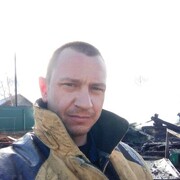  ,   Vitgorrees, 36 ,   ,   