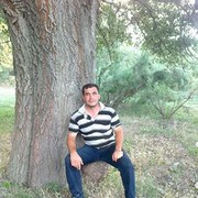  ,   Mansir, 40 ,   