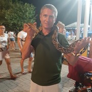 ���������� �������, ���� ������� �������, 36 ���, ������������ ��� ������, ����� � ���������, c�������� ���������