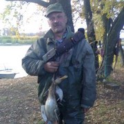  ,   , 61 ,   