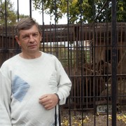  ,   , 66 ,   