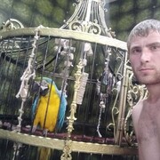 ���������� ���������, ���� ������� ����, 36 ���, ������������ ��� ������, ����� � ���������