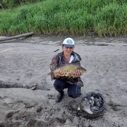  ,   , 51 ,   ,   , 