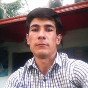  ,  ali, 31