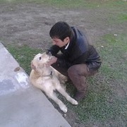  ,   Pash, 36 ,   ,   , c 