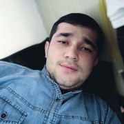 ���������� �������, ���� ������� Yolbars, 40 ���, ������������ ��� ������, ����� � ���������, c�������� ���������