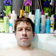  --,   , 40 ,  